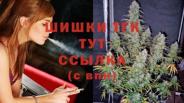 меф Гусь-Хрустальный