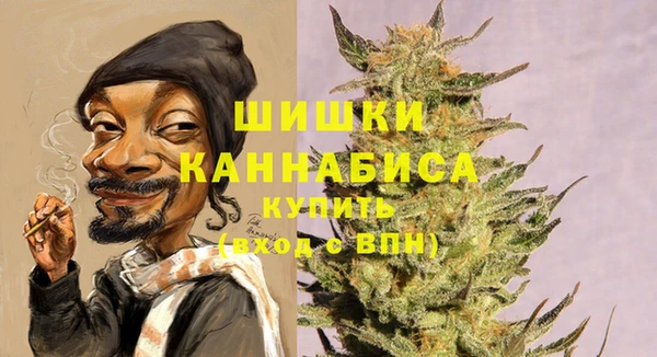 СК Гусиноозёрск