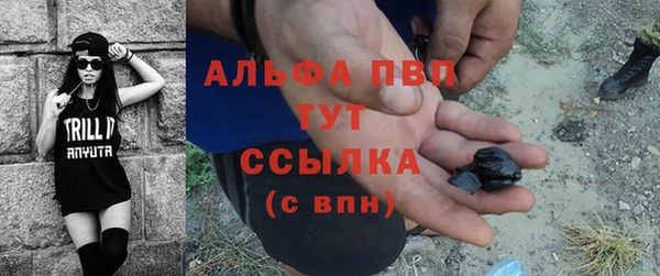 альфа пвп Гусев